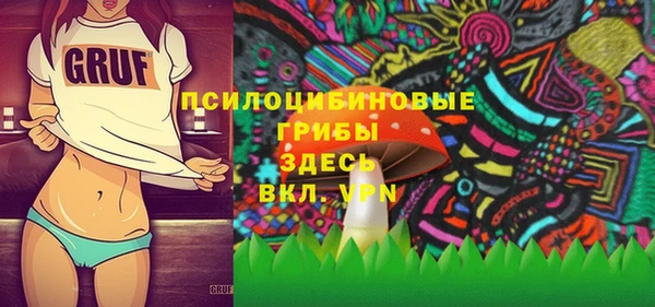 бошки Касимов