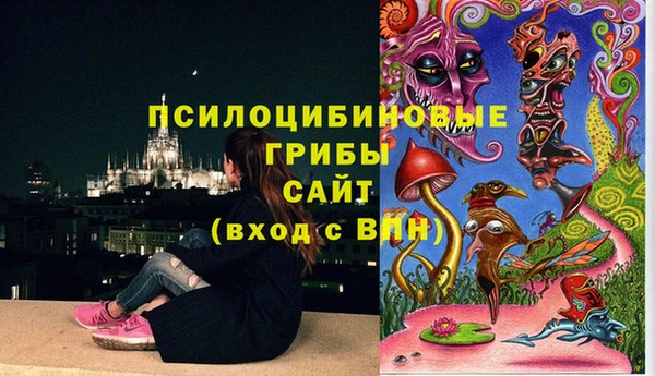 mdma Карталы