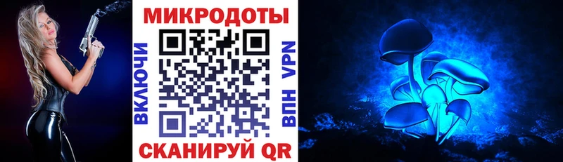 Купить  Гаджиево  Псилоцибиновые грибы Psilocybe 